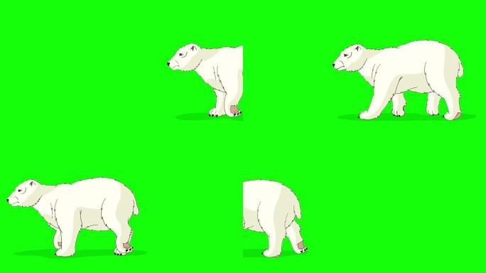 北极熊行走色度