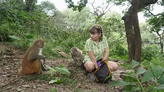 女孩喂养野生猴子