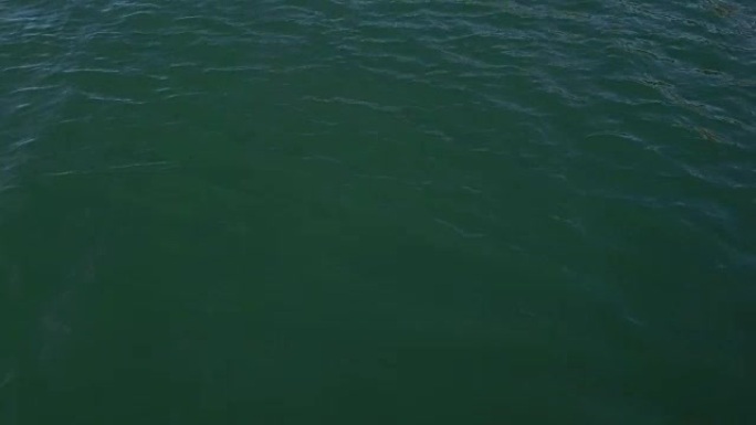 无人机在水面上低空飞行