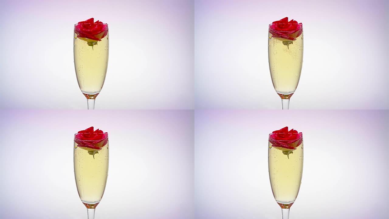 一杯香槟扔玫瑰花蕾。白色背景
