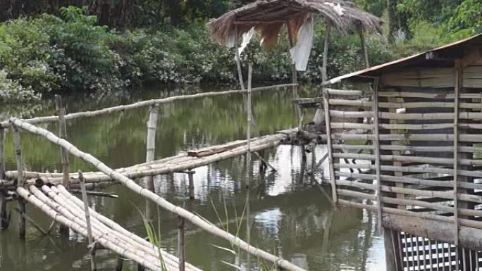 沼泽池中间的竹屋和竹脚桥