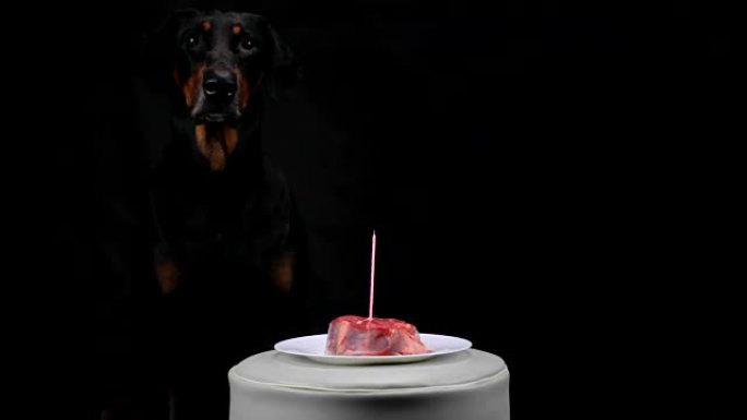 大黑狗拿着蜡烛坐在肉前