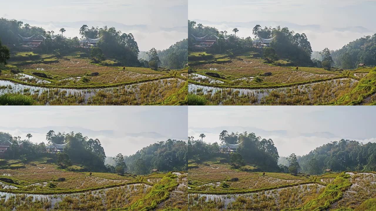 印度尼西亚苏拉威西岛Tana Toraja的传统村庄和稻田。