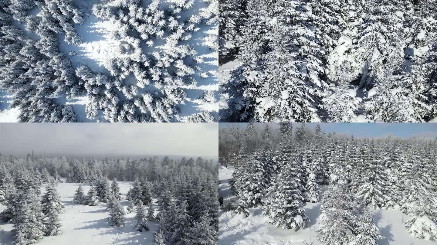 长白山雪岭林海雪原雾凇航拍4k