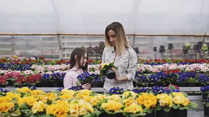 微笑的成年和年轻女孩在温室里看着花盆