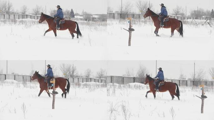 骑红马在雪场上的女骑手