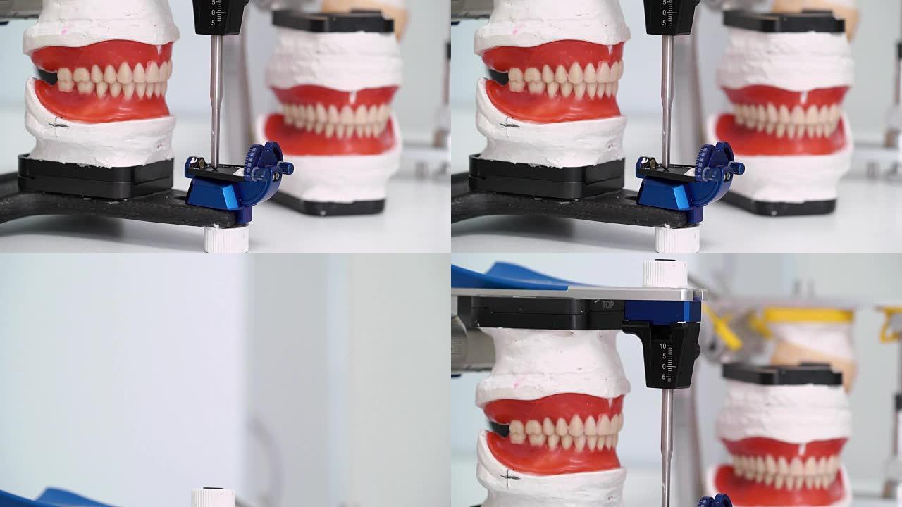 牙科诊所的颌骨模型