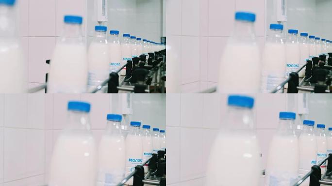 输送线，用于在牛奶工厂以全高清分辨率慢动作将乳制品倒入塑料瓶中。很多瓶子绕着传送带转