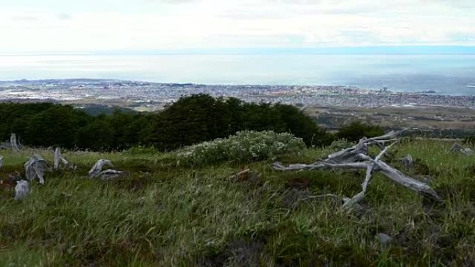 蓬塔阿雷纳斯福雷斯特徒步旅行，可欣赏海景