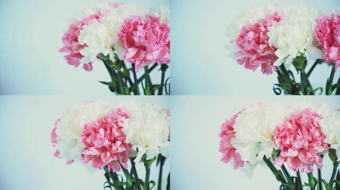 花，在白色背景上旋转，花卉组成由康乃馨组成