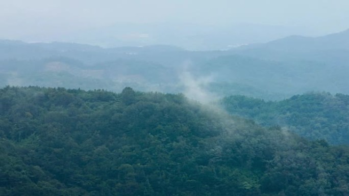 韩国庆山八公山的蒸汽雾森林山坡