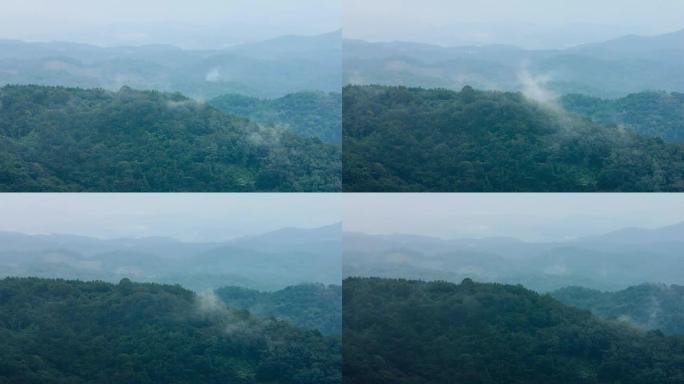 韩国庆山八公山的蒸汽雾森林山坡