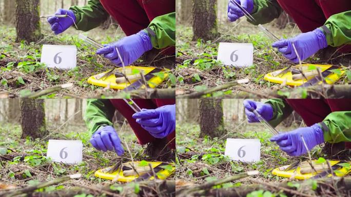 在森林中采集植物样本的科学家生态学家