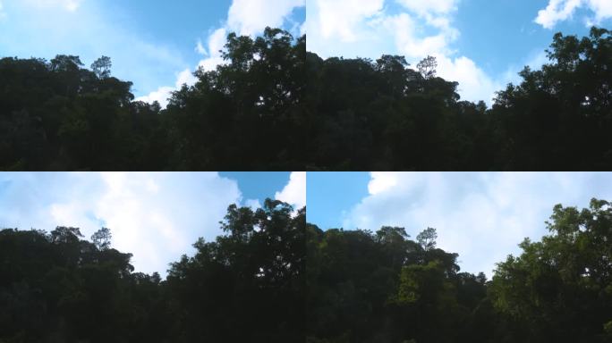 4kl1鼎湖山森林天空延时摄影 间隔拍摄