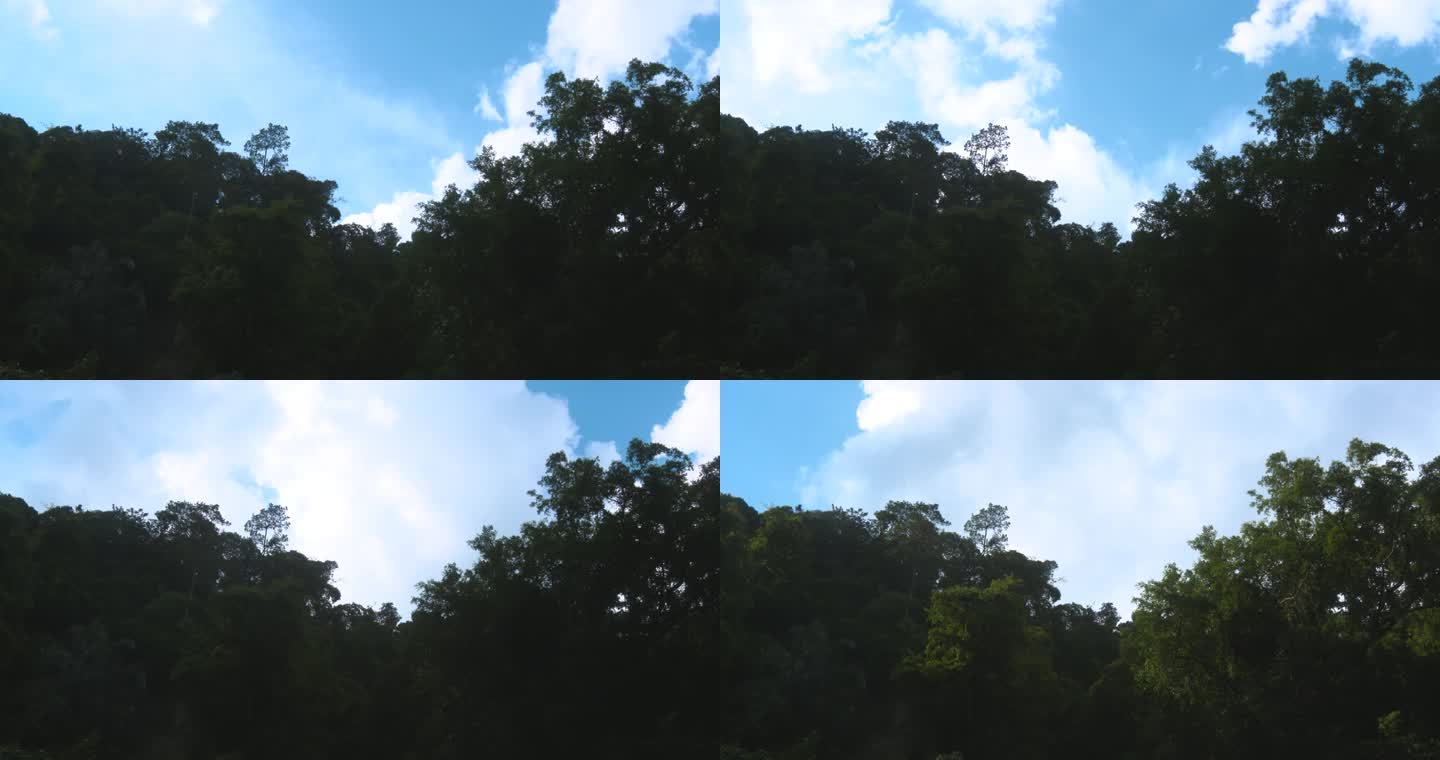 4kl1鼎湖山森林天空延时摄影 间隔拍摄