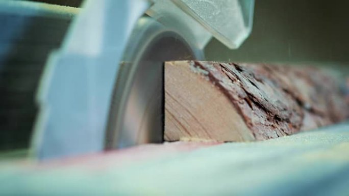 在木材工厂切割木材。特写锯木的夹子。锯木厂是将原木切成木材的设施。