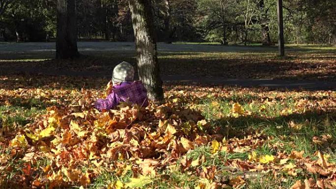 宝贝孩子和美丽的母亲在秋季公园户外玩耍。全高清