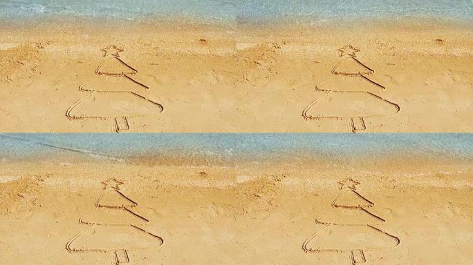 枞树在沙子上画画。