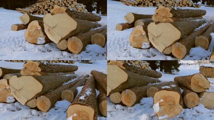 雪地上的一堆原木