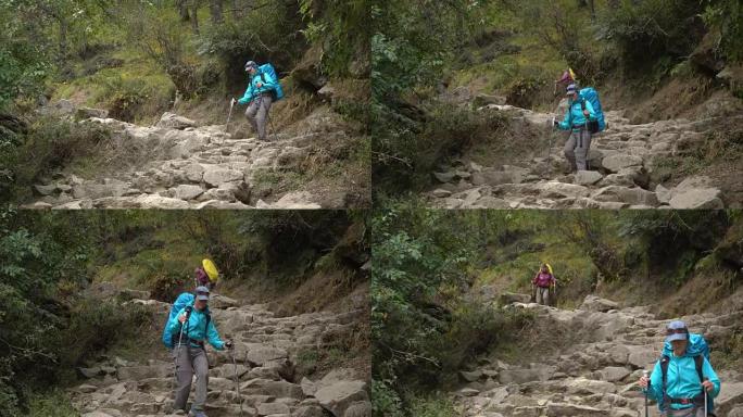 喜马拉雅山脉的女孩游客