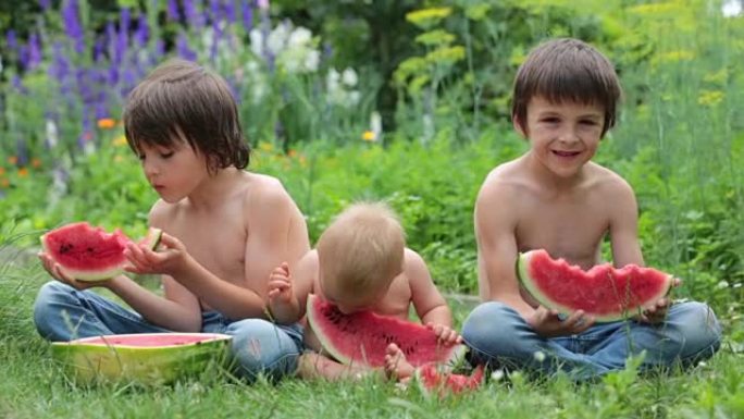 可爱的孩子，男婴和两个兄弟，在花园里吃成熟的西瓜，美味的水果