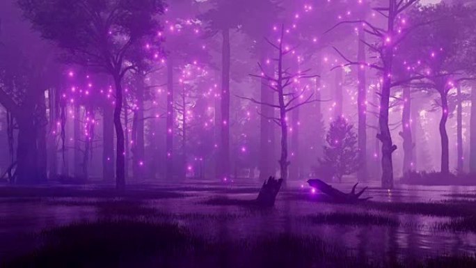 令人毛骨悚然的夜间森林沼泽上的神奇灯光