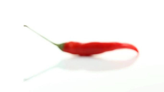 白色背景上单个红辣椒的模糊到清晰的镜头