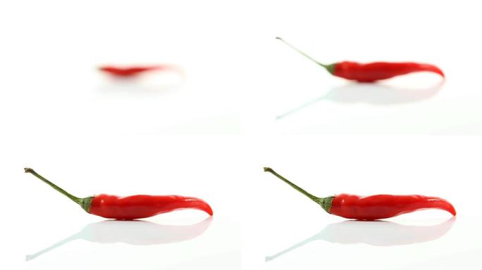白色背景上单个红辣椒的模糊到清晰的镜头