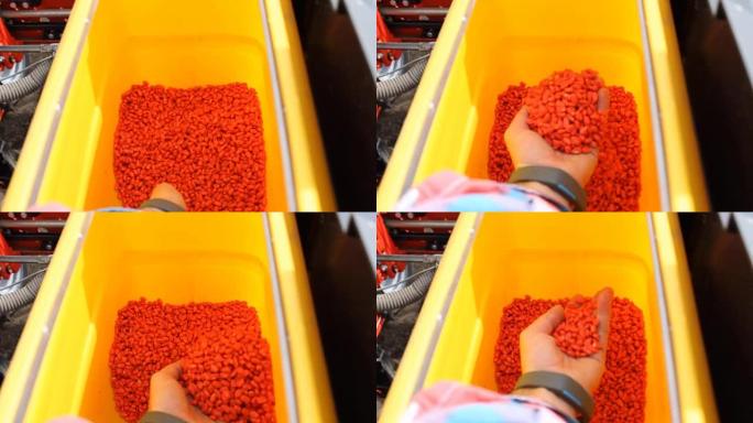 拖拉机中的玉米种子