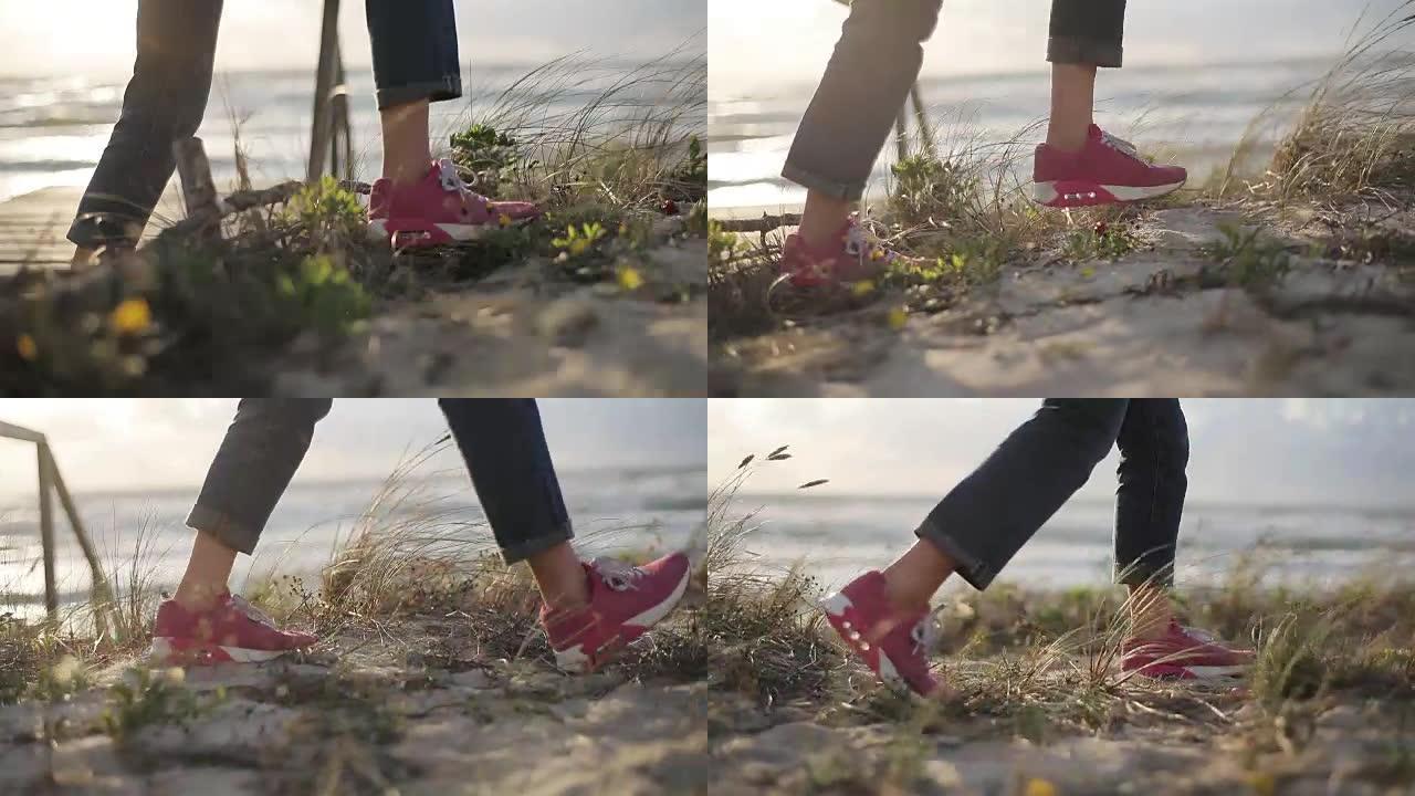 穿着粉色运动鞋的女孩踩在沙丘上，不露面的特写慢动作阳光明媚的夏日早晨。女探险家走被禁止的道路是不同的
