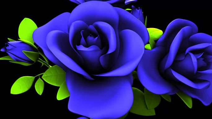 黑色背景上的蓝色玫瑰花束