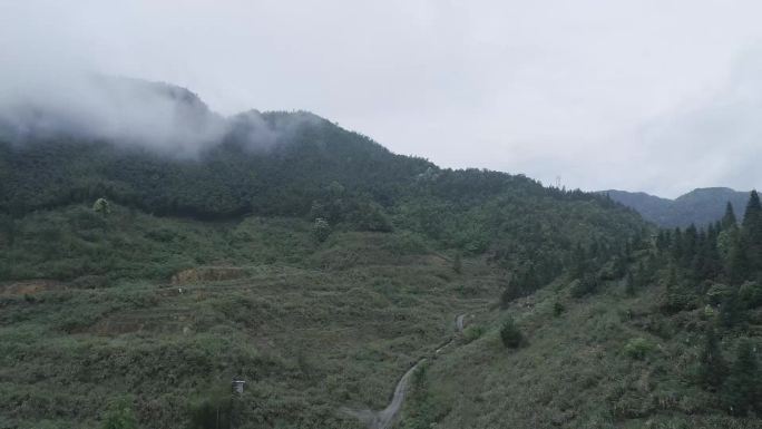 井冈山   雕塑战争 景点景区