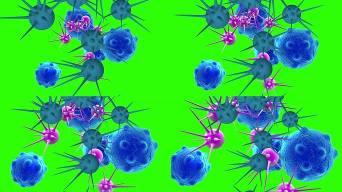 动画-绿屏上具有高细节的癌细胞