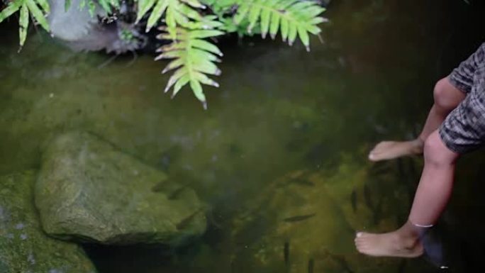 男孩脚的特写在丛林中的天然池塘里有鱼水疗中心。1920x1080