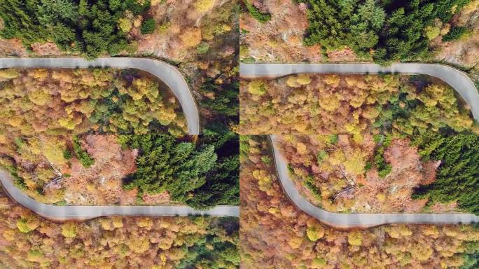 色彩缤纷的乡村秋天森林中道路的高架空中俯视图。秋天的橙色，绿色，黄色的红树树林。山脉街道路径建立。4