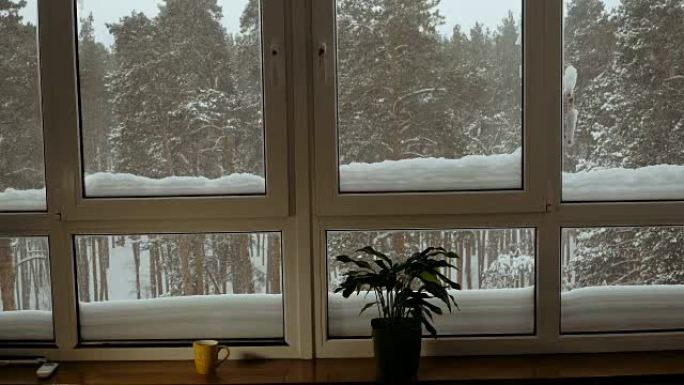 窗户。俯瞰冰雪覆盖的森林的窗户