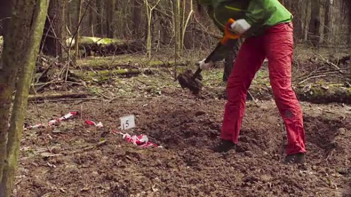 女生态学家在森林里挖土缝