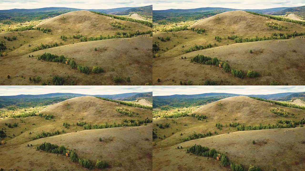 空中无人机镜头视图: 在阳光柔和的光线下飞越春山、丘陵和松树林的草地。飞出去。喀尔巴阡山脉，罗马尼亚