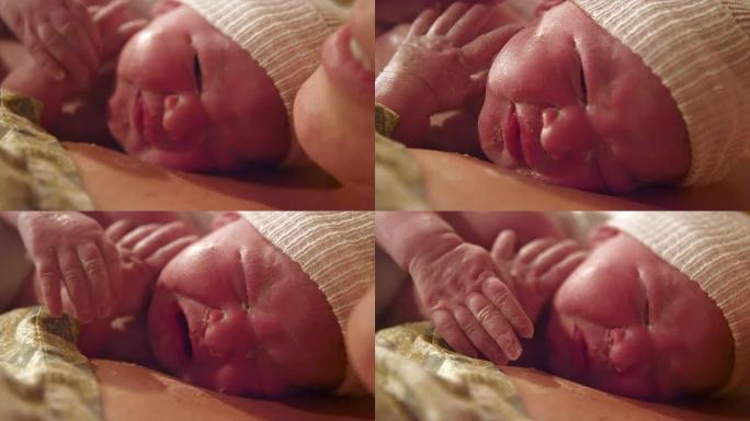 几分钟前出生在母亲胸部的新生婴儿