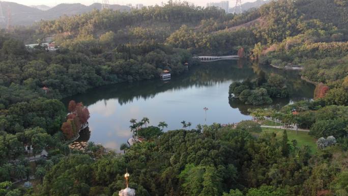 航拍深圳仙湖植物园弘法寺