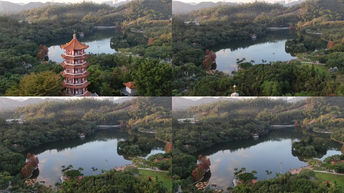 航拍深圳仙湖植物园弘法寺