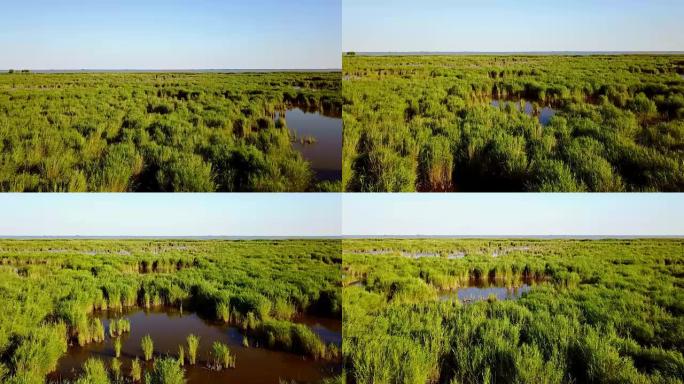 多瑙河三角洲无尽的水和芦苇，鸟瞰图