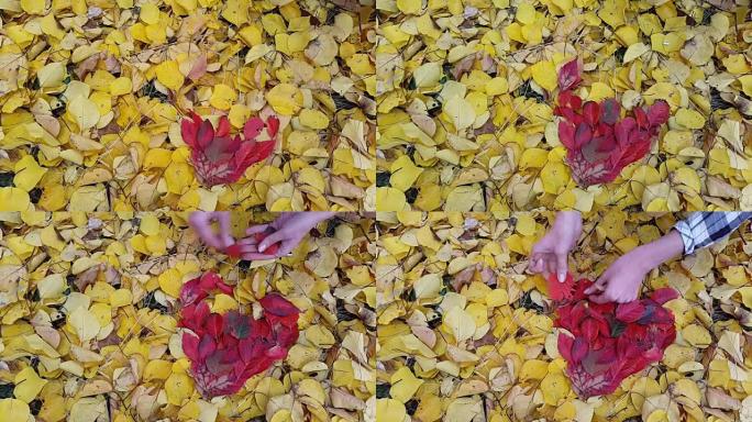 延时。秋天叶子的心脏形式的背景