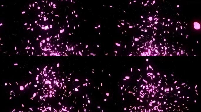 樱花花瓣落在黑色背景上，循环闪光动画，