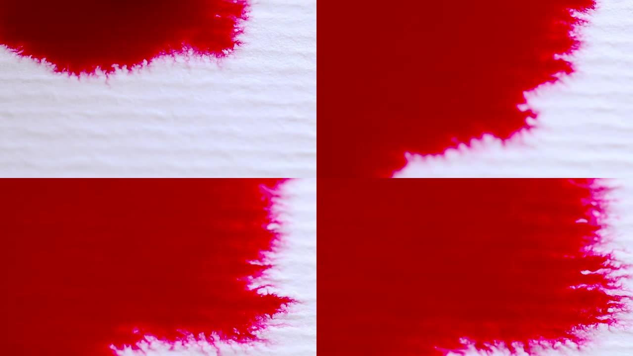 红色的血墨水溅到白色背景上。墨水扩展，用于与视频混合模式。羊皮纸上的宏观红色墨水