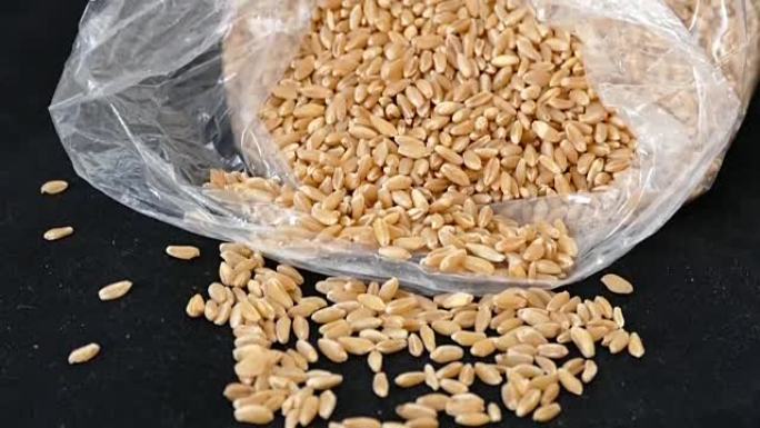 优质小麦制作面食