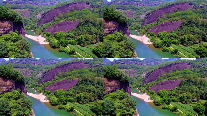 航拍武夷山天游峰、九曲溪边的茶园