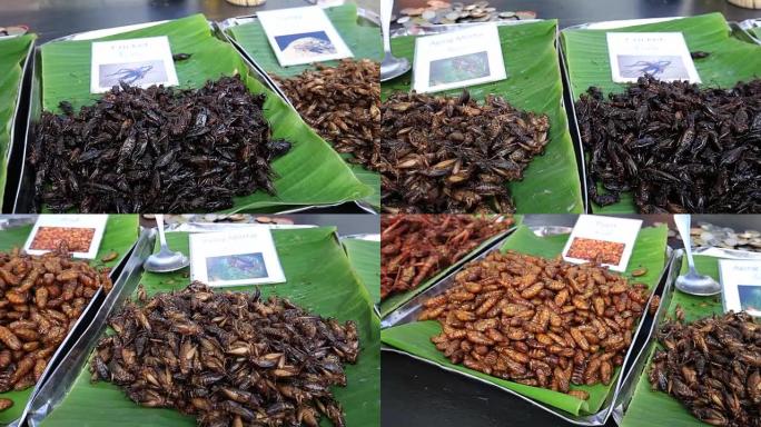 泰国街头美食: 烤和五香餐蠕虫，虫子，油炸幼虫，泰国