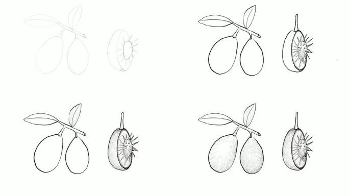 Ambarella水果视频剪辑手绘