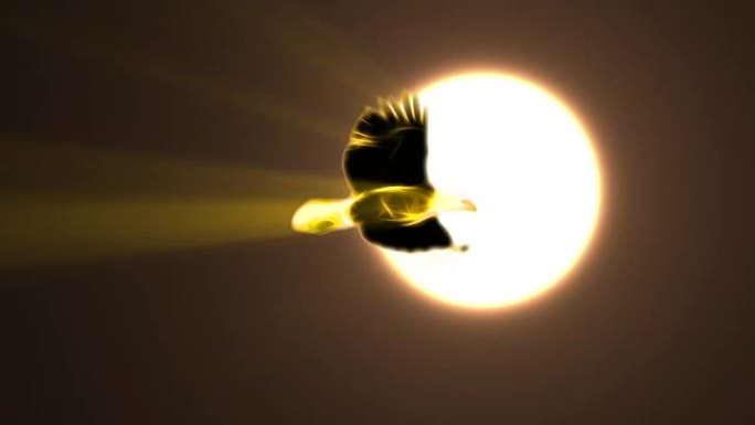 金黄色霓虹灯秃鹰在太阳光线下飞翔卡通无缝循环动画黑色背景-新品质独特手工动态欢乐七彩视频动物鸟镜头